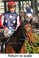 Return to scale (16571 bytes)