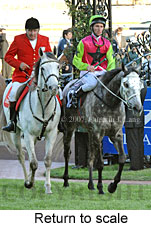 Return to scale (16571 bytes)