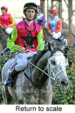 Return to scale (16571 bytes)