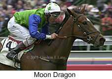 r6moondragon.jpg (15252 bytes)