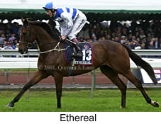 r7ethereal.jpg (15909 bytes)