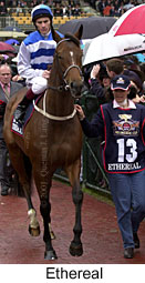 r7ethereal2.jpg (15848 bytes)