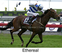 r7ethereal3.jpg (12889 bytes)