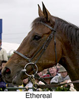 r7ethereal4.jpg (10398 bytes)