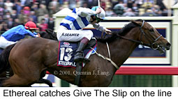 r7mcup2001.jpg (17290 bytes)