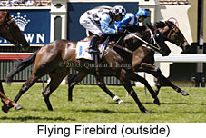 Flying Firebird (18055 bytes)