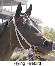 Flying Firebird (12816 bytes)