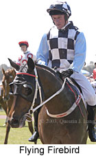 Flying Firebird (12430 bytes)