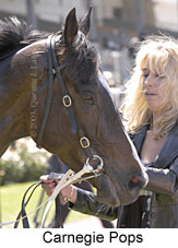 Carnegie Pops (13981 bytes)