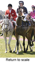 Return to scale (15866 bytes)