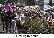 Return to scale (19484 bytes)