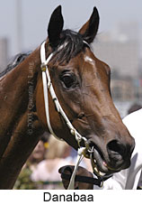 Danabaa (11926 bytes)