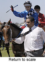 Return to scale (13859 bytes)