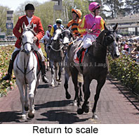 Return to scale (19157 bytes)