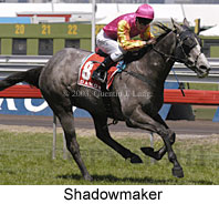 Shadowmaker (15942 bytes)