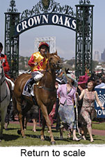 Return to scale (20098 bytes)