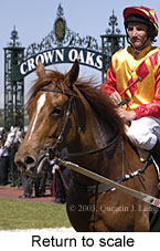 Return to scale (19157 bytes)