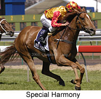 Special Harmony (18539 bytes)