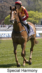 Special Harmony (17163 bytes)