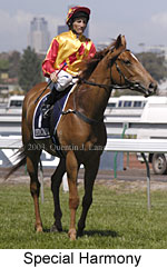 Special Harmony (15094 bytes)