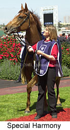 Special Harmony (17993 bytes)