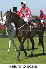 Return to scale (14668 bytes)