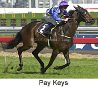 Pay Keys (15265 bytes)