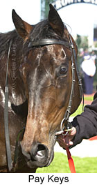 Pay Keys (14307 bytes)