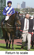 Return to scale (14813 bytes)