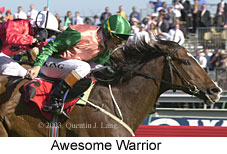 Awesome Warrior (17216 bytes)