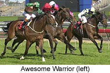 Awesome Warrior (17373 bytes)