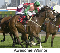 Awesome Warrior (16124 bytes)