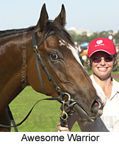 Awesome Warrior (12317 bytes)