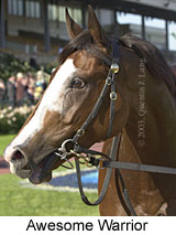 Awesome Warrior (12731 bytes)