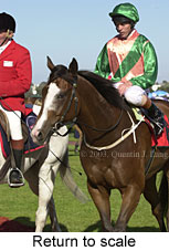 Return to scale (14926 bytes)