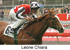 Leone Chiara (18507 bytes)