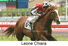 Leone Chiara (18507 bytes)