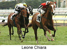 Leone Chiara (18507 bytes)