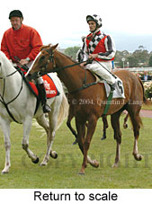 Return to scale (17769 bytes)