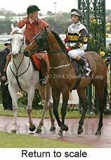 Return to scale (17769 bytes)