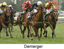 Demerger (18507 bytes)