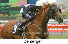 Demerger (18507 bytes)