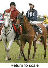 Return to scale (17769 bytes)