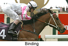 Binding (18507 bytes)