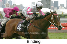 Binding (18507 bytes)