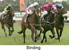 Binding (18507 bytes)