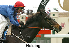 Holding (18507 bytes)