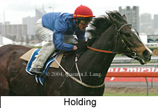 Holding (18507 bytes)