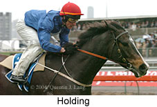 Holding (18507 bytes)