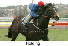 Holding (18507 bytes)